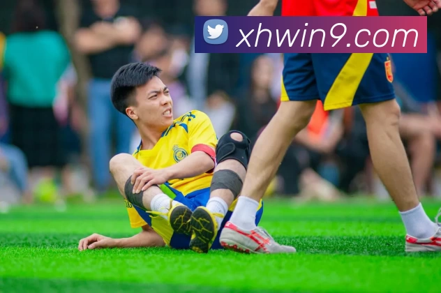 星辉娱乐官网服务体系